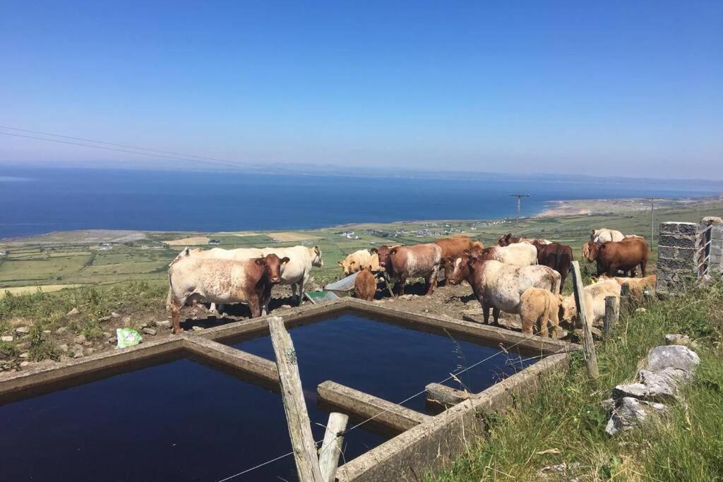 Apartment On Wild Atlantic Way Fanore Екстериор снимка